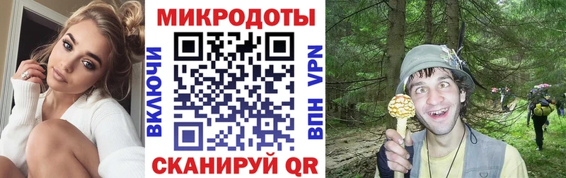 закладки  блэк спрут маркетплейс  Галлюциногенные грибы мицелий  Петропавловск-Камчатский 